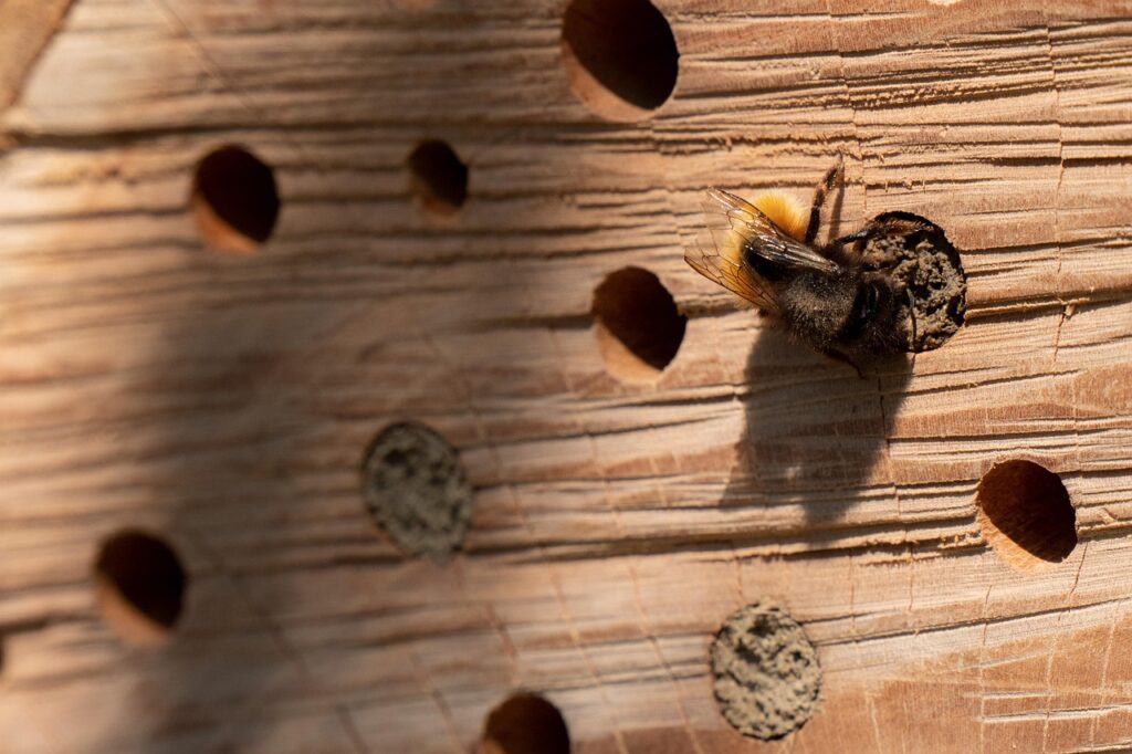 insect hotel, bee hotel, wild bee, insect house, entry openings, brood aid, wood, nesting aid, insect hotel, bee hotel, bee hotel, bee hotel, bee hotel, bee hotel