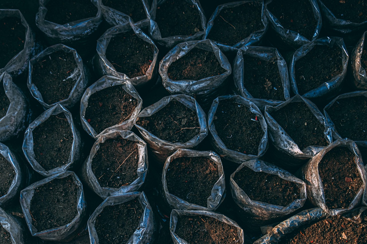 soil, pot plants, plantation, growth, nature, dirt, soil, soil, soil, soil, soil