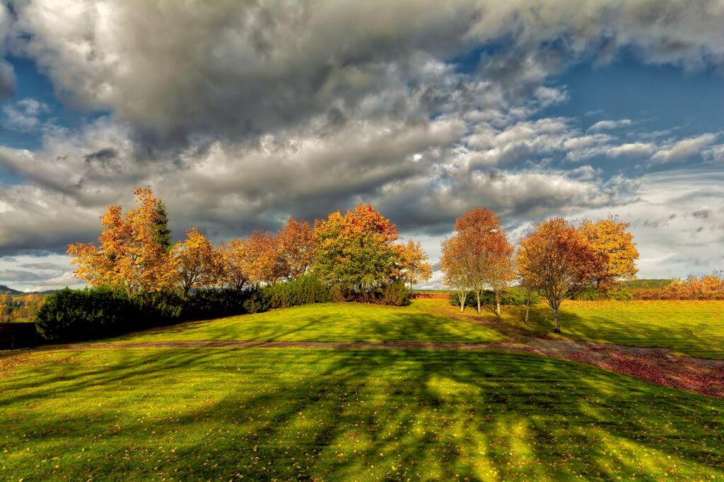 landscape, autum, color, nature, trees, scenery, sky, norway, autum, autum, autum, autum, autum