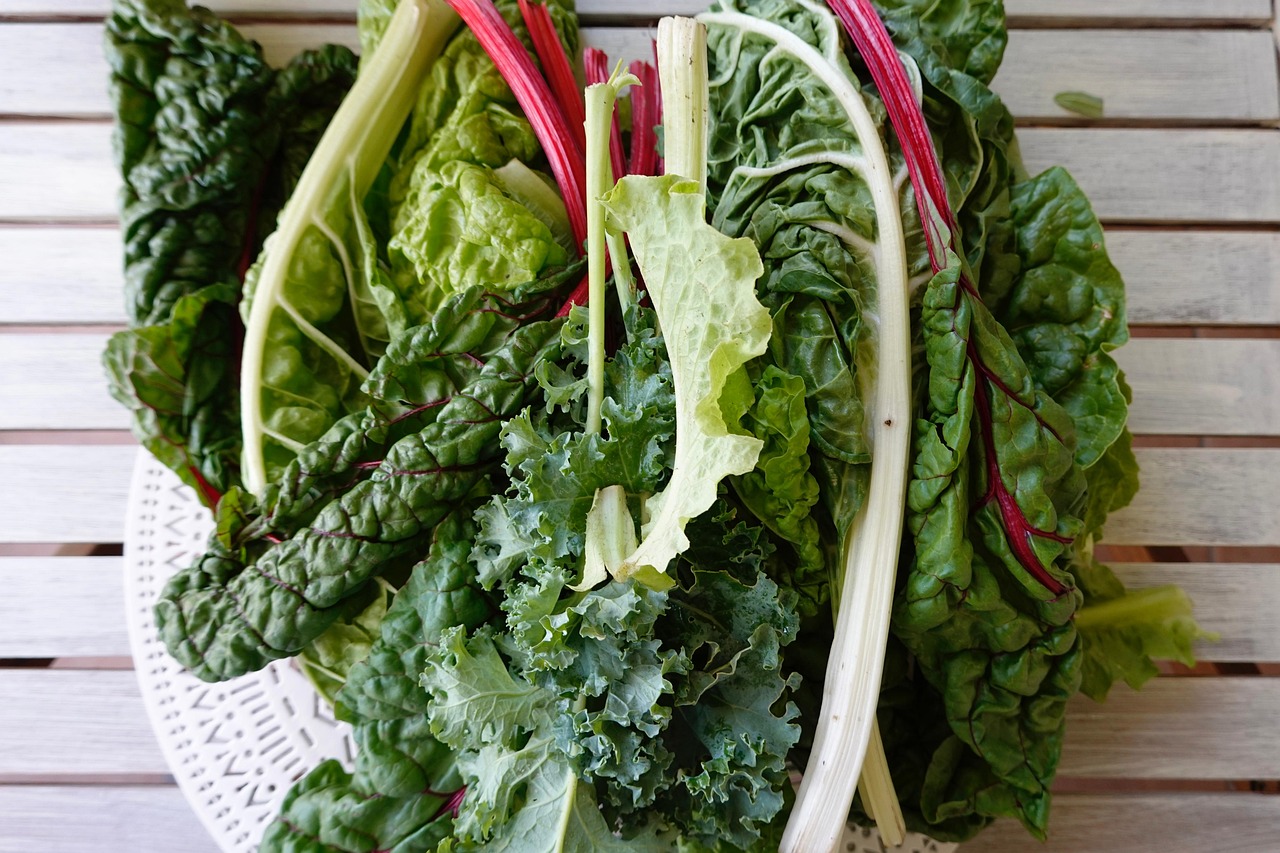 leaves, nature, salad, vegetables, swiss chard, fresh, healthy, green